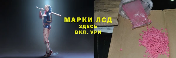 стафф Алзамай