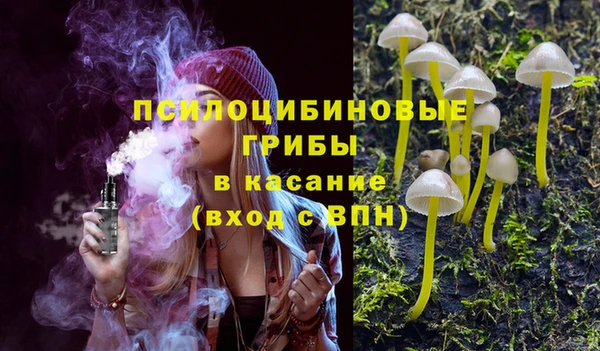 дживик Алексин
