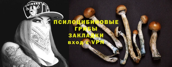 дживик Алексин
