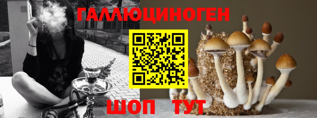 Галлюциногенные грибы Psilocybine cubensis  Вход с VPN  Псилоцибиновые грибы Cubensis  Лабинск 