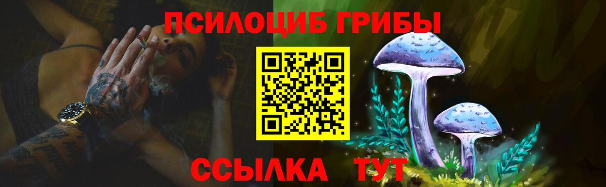 Галлюциногенные грибы Psilocybine cubensis Лабинск