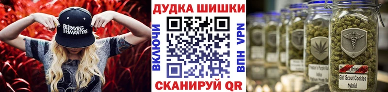 МАРИХУАНА план  магазин продажи   Лабинск 